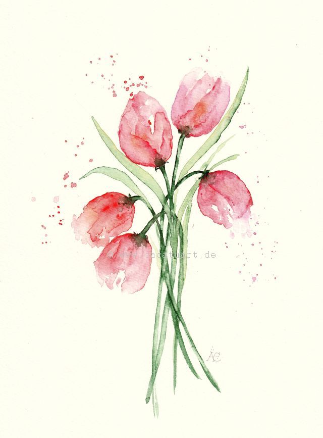 Tulpen01