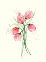 Tulpen01